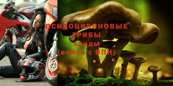 таблы Алексеевка