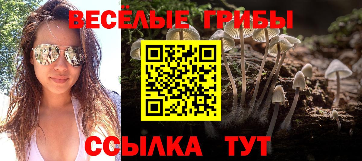 Галлюциногенные грибы Psilocybe  Вход с VPN  Кохма 